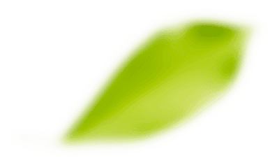 blosom
